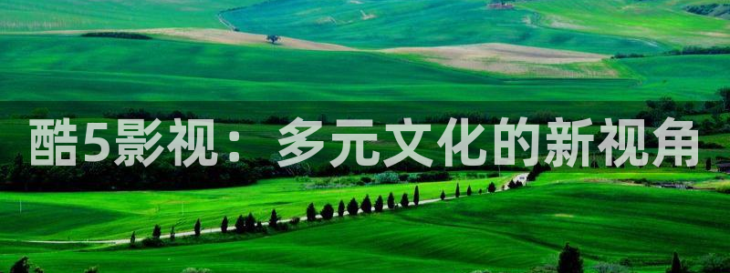 青柠电影：酷5影视：多元文化的新视角
