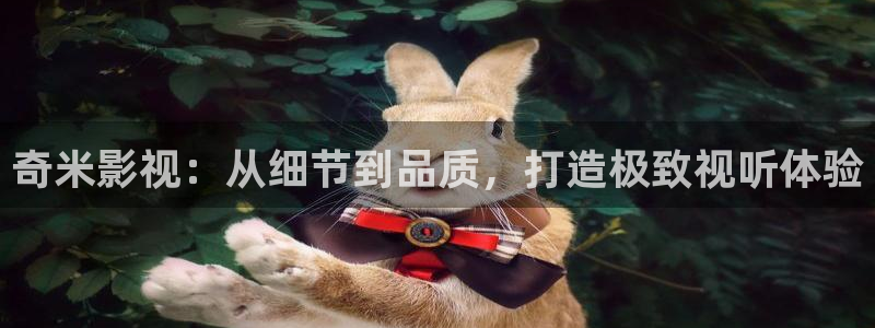 青柠影院免费观看电视剧高清动漫：奇米影视：从细节到品质，打造极致视听体验