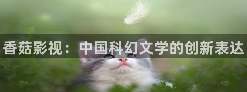 青柠檬视频在线